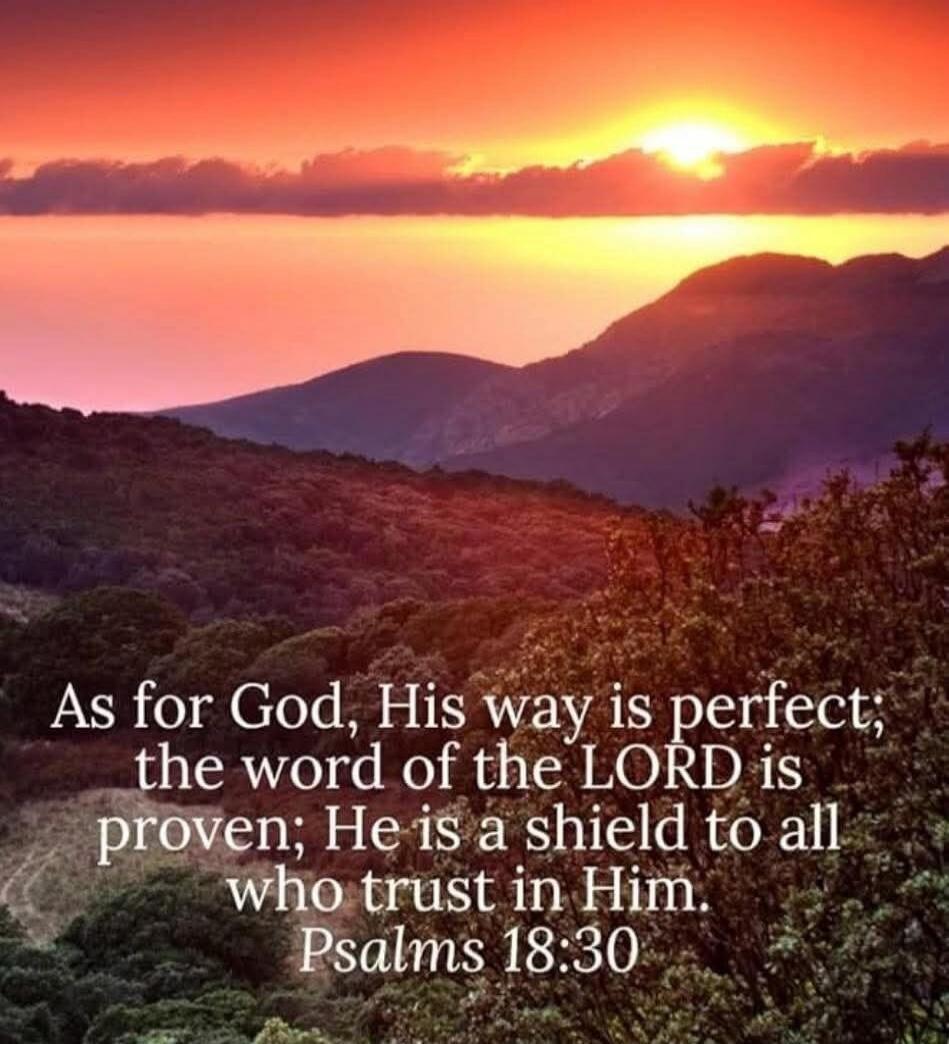 As for God, His way is perfect; the word of the LORD is proven; He is a shield to all who trust in Him. Psalms 18:30