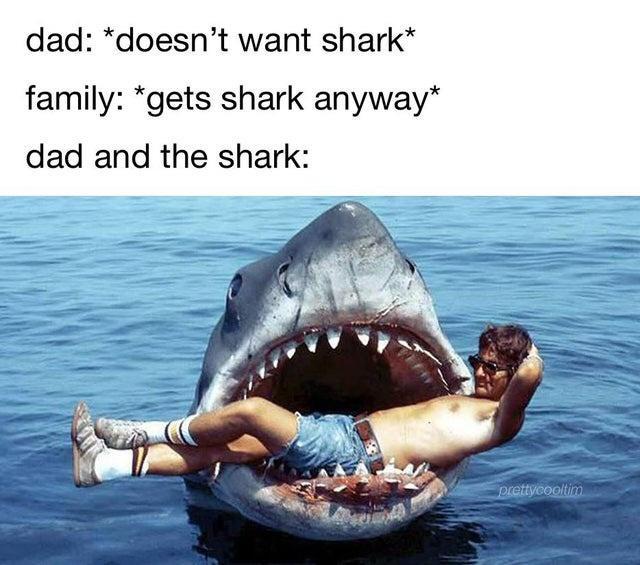 dad doesnt want shark family gets shark anyway dad and the shark