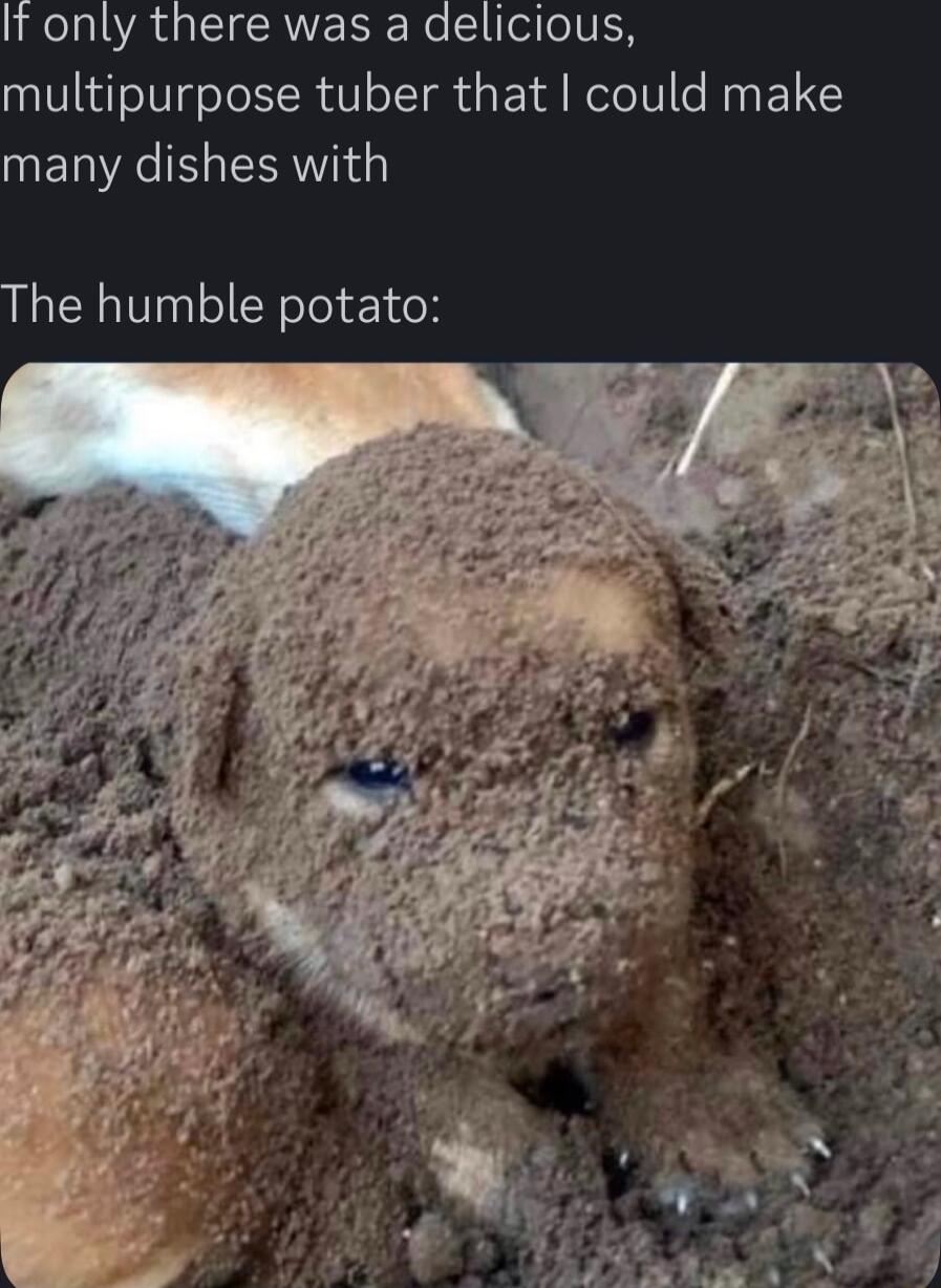 It only there was a delicious multipurpose tuber that could make many dishes with The humble potato