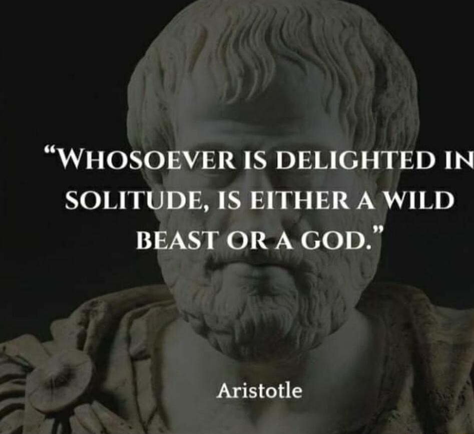 WHOSOEVER IS DELIGHTED IN SOLITUDE IS EITHER A WILD BEAST OR A GOD Aristotle