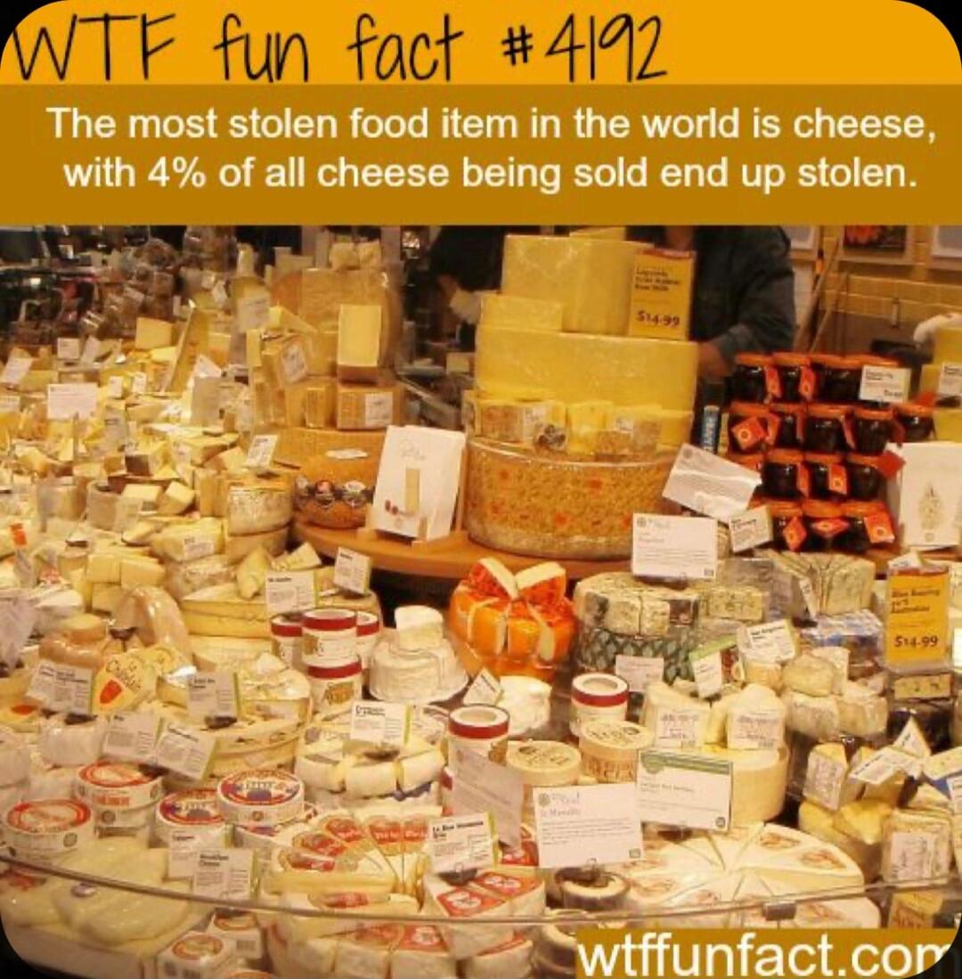 WTF fun fact 4112 B