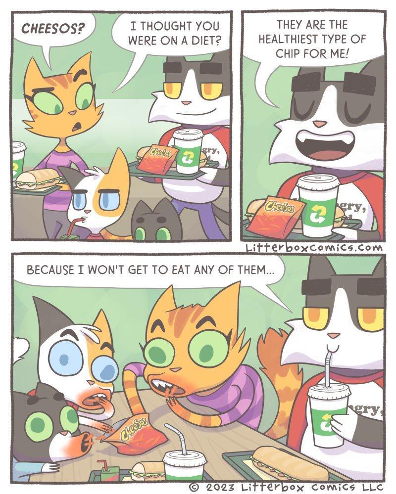 CHEESOS ITHOUGHT YOU THEY ARE THE 4 _WERE ON A DIET HEALTHIEST TYPE OF y CHIP FOR ME 5 BECAUSE T WONT GET TO EAT ANY OF THEM