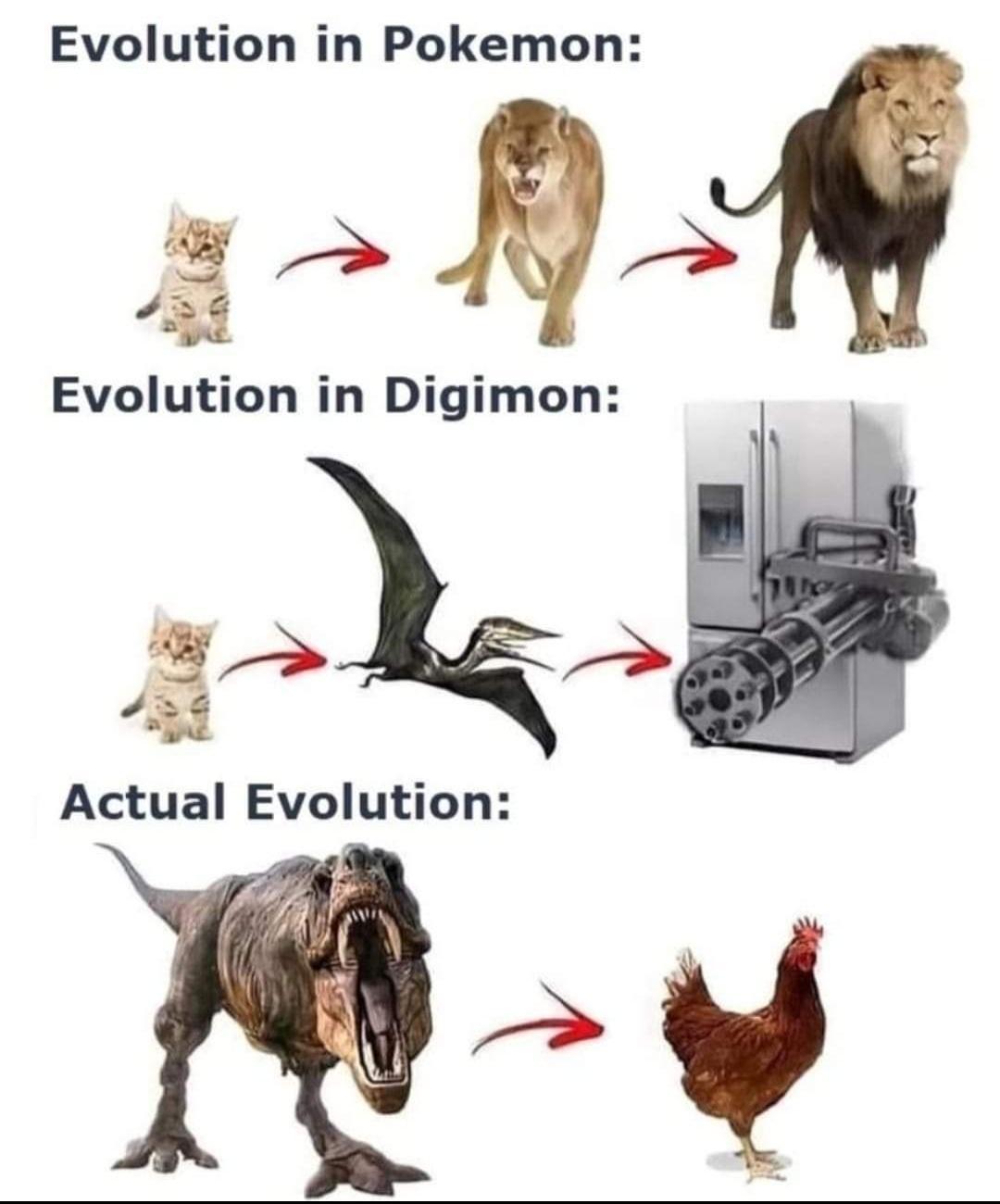 Evolution in Pokemon B 738 Evolution in Digimon Actual Evolution