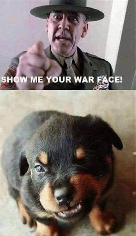 SHOW ME YOUR WAR FACE!
