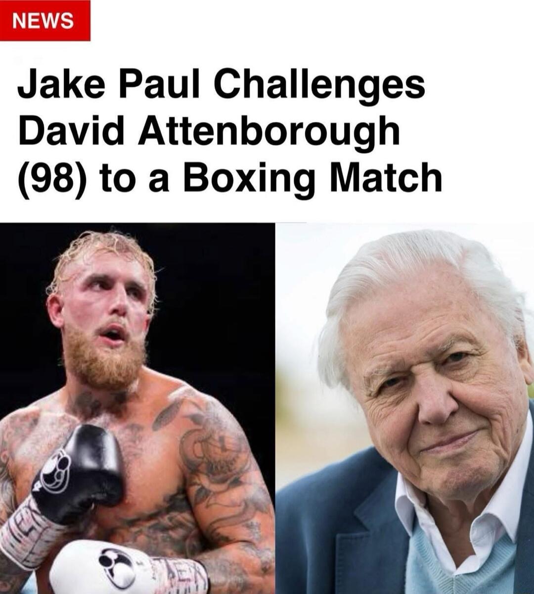 NEWS Jake Paul Challenges David Attenborough (98) to a Boxing Match