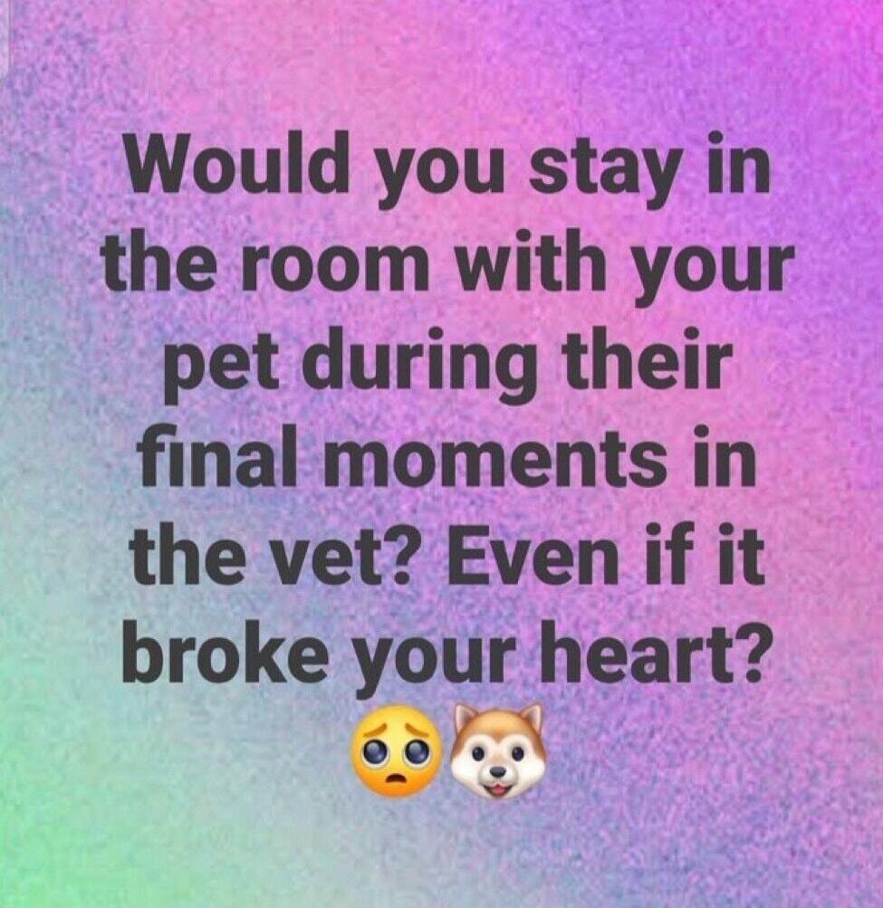 Would you stay in the room with your pet during their final moments in the vet? Even if it broke your heart? 🥺 🐶