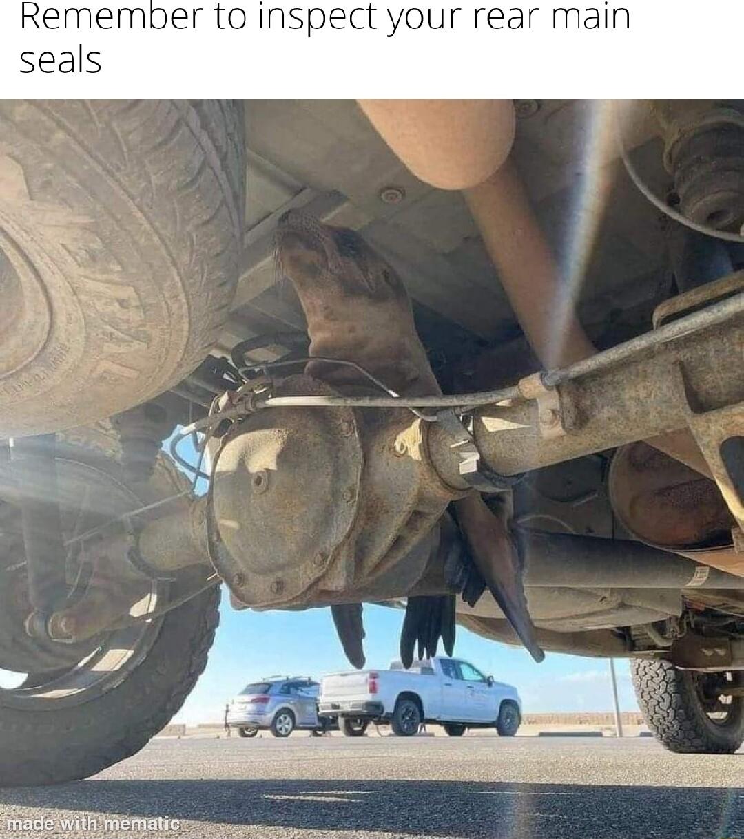 Remember to inspect your rear main seals