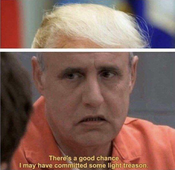 Theris a good chance I may have committed some lightitreason