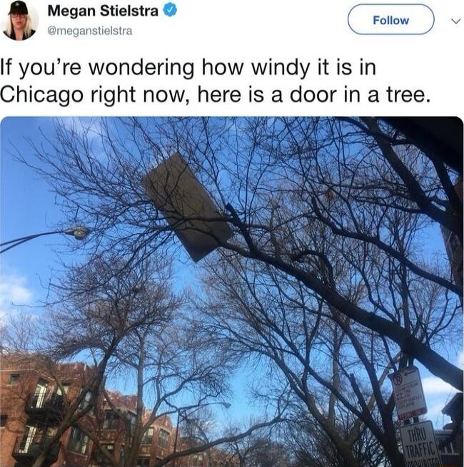 Megan Stielstra i If youre wondering how windy it is in hicago right now here is a door in a tree