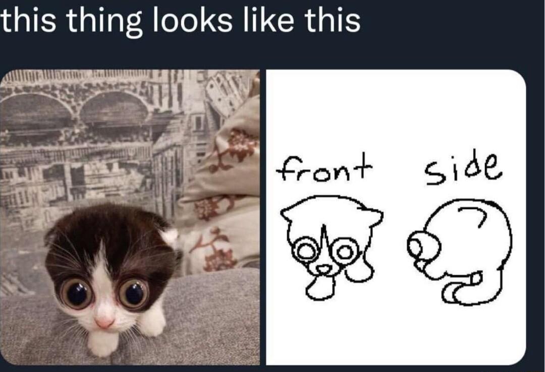 this thing looks like this ol ront side