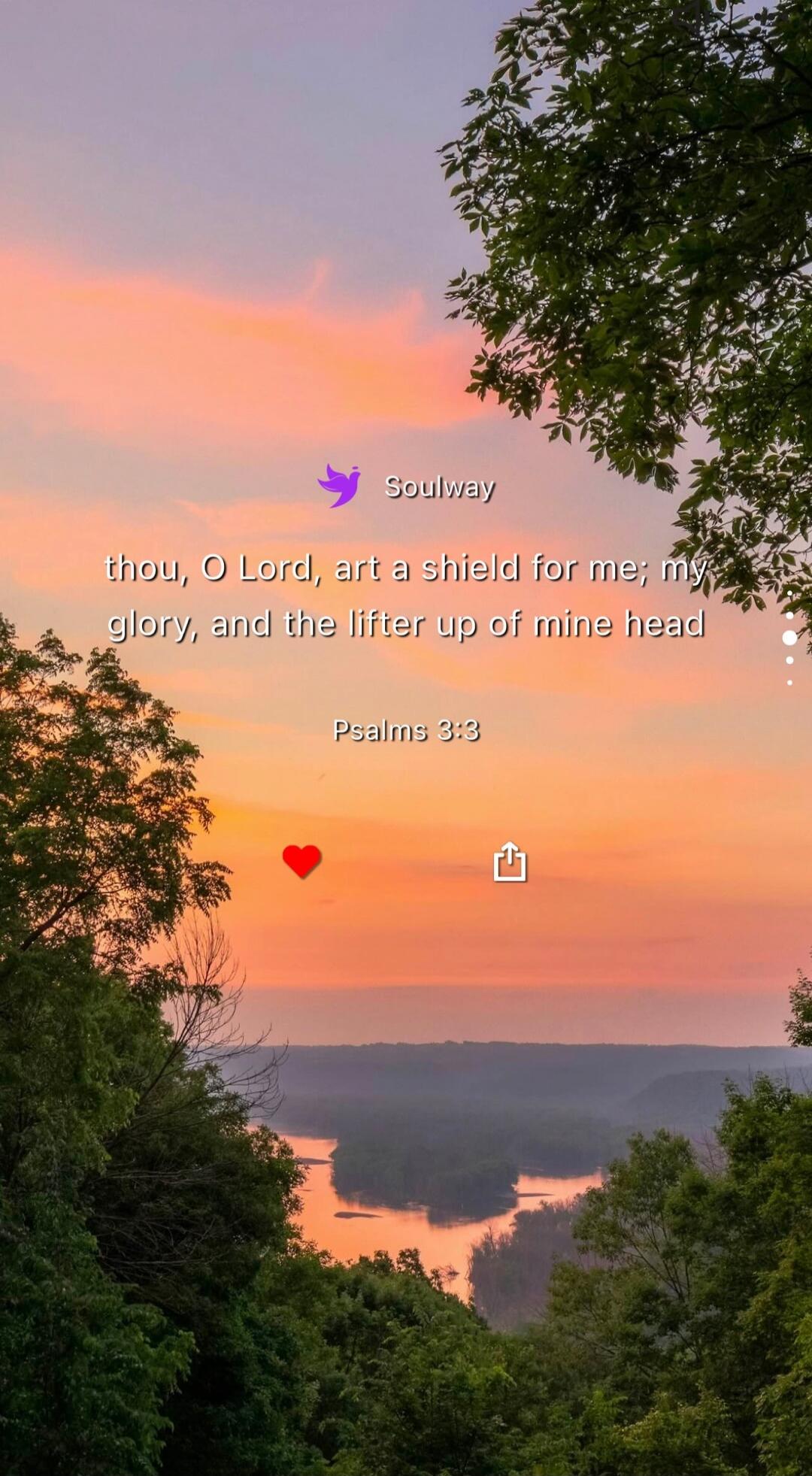 Soulway thou, O Lord, art a shield for me; my glory, and the lifter up of mine head Psalms 3:3