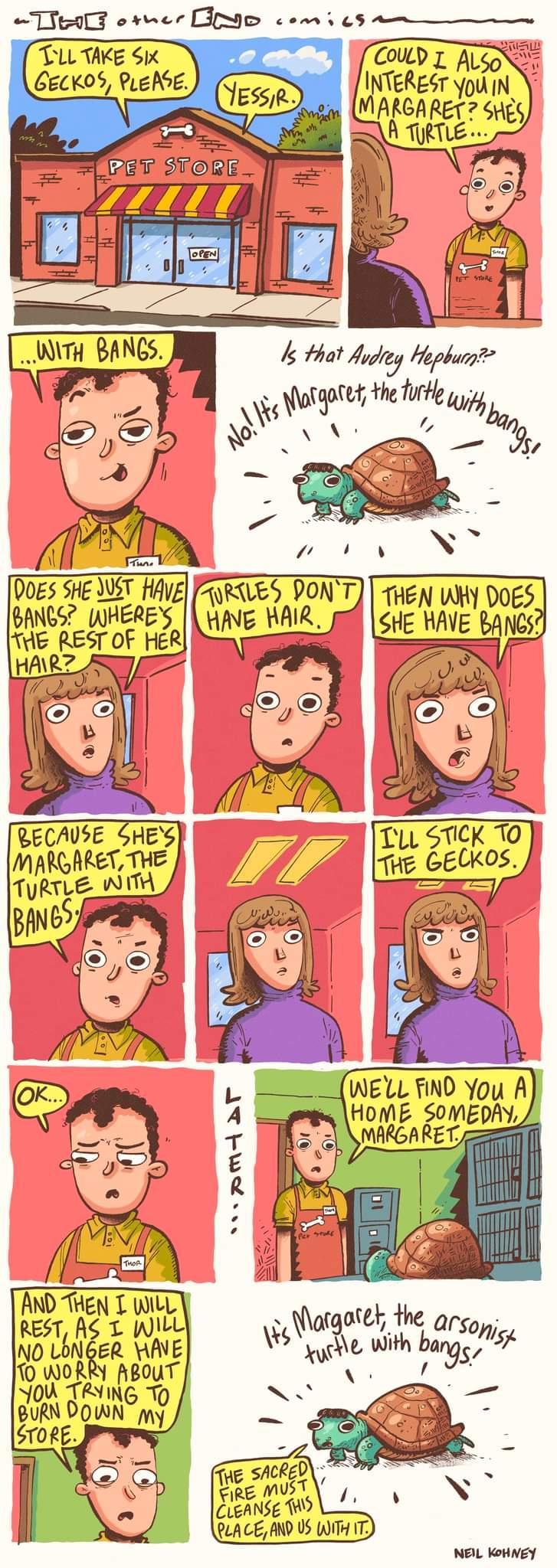 COUD I AL Pfeesr oIAIN ARGARESHS A TRTLE k that Iry Hephurn Mr the lremy N Doss SHEMT MVL AWRILES PONTTHEN HY DOES NCS WHERE AR 25 ussroF HEa HAVE M Hig HAVE Arxcs mscx o Tiig GECKOS WELL FIND You A uoa SOMEDRY otek the qr gg With baryii