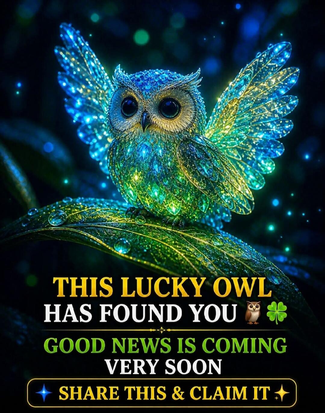 THIS LUCKY OWL HAS FOUND YOU GOOD NEWS IS COMING VERY SOON SHARE THIS & CLAIM IT