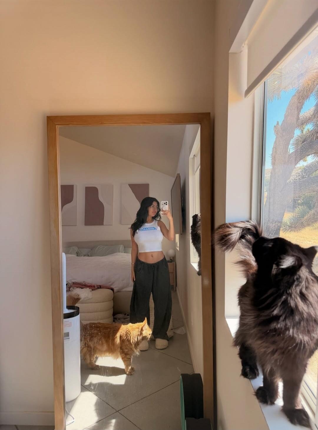 A woman takes a mirror selfie in a bedroom. She is wearing a white crop top and dark pants, showing her midriff. An orange cat is on the floor near her reflection, and a black cat is on the windowsill looking outside. The room is bright, and desert-like trees are visible through the window.