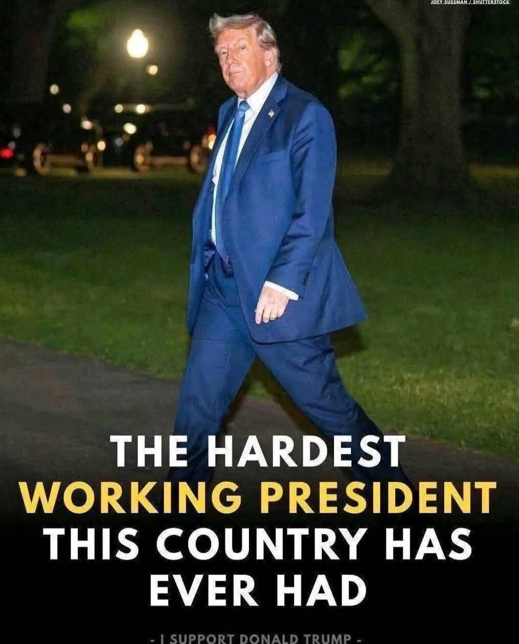THE HARDEST WORKING PRESIDENT THIS COUNTRY HAS EVER HAD - I SUPPORT DONALD TRUMP