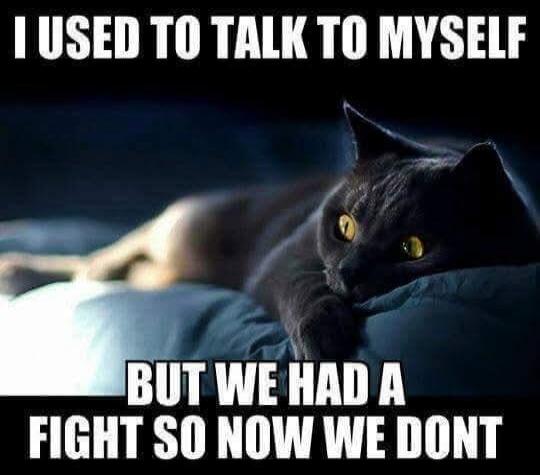 I USED TO TALK TO MYSELF BUT WE HAD A FIGHT SO NOW WE DONT