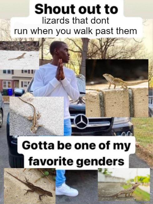 Shout out to lizards that dont run when you walk past them