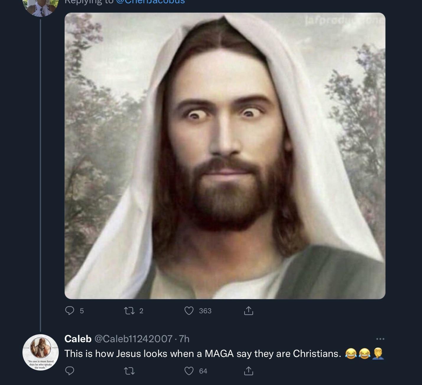Calab Calab11242007 1 This s how esus ooks when a MAGA saythey are Chistisns