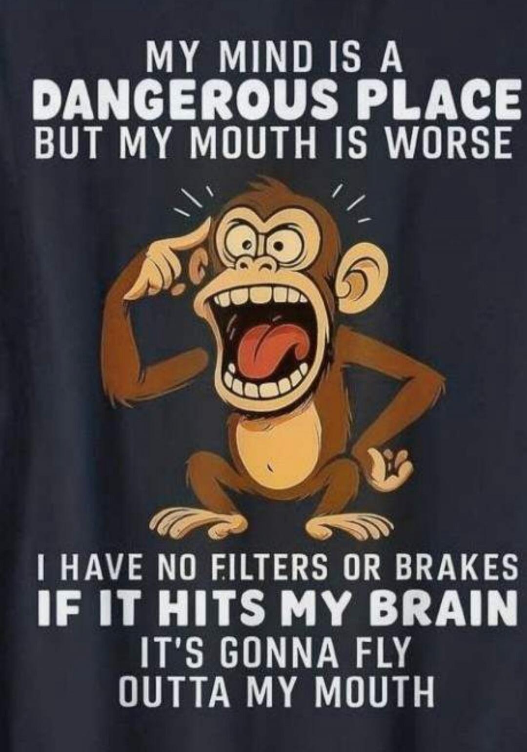MY MIND IS A DANGEROUS PLACE BUT MY MOUTH IS WORSE I HAVE NO FILTERS OR BRAKES IF IT HITS MY BRAIN IT'S GONNA FLY OUTTA MY MOUTH
