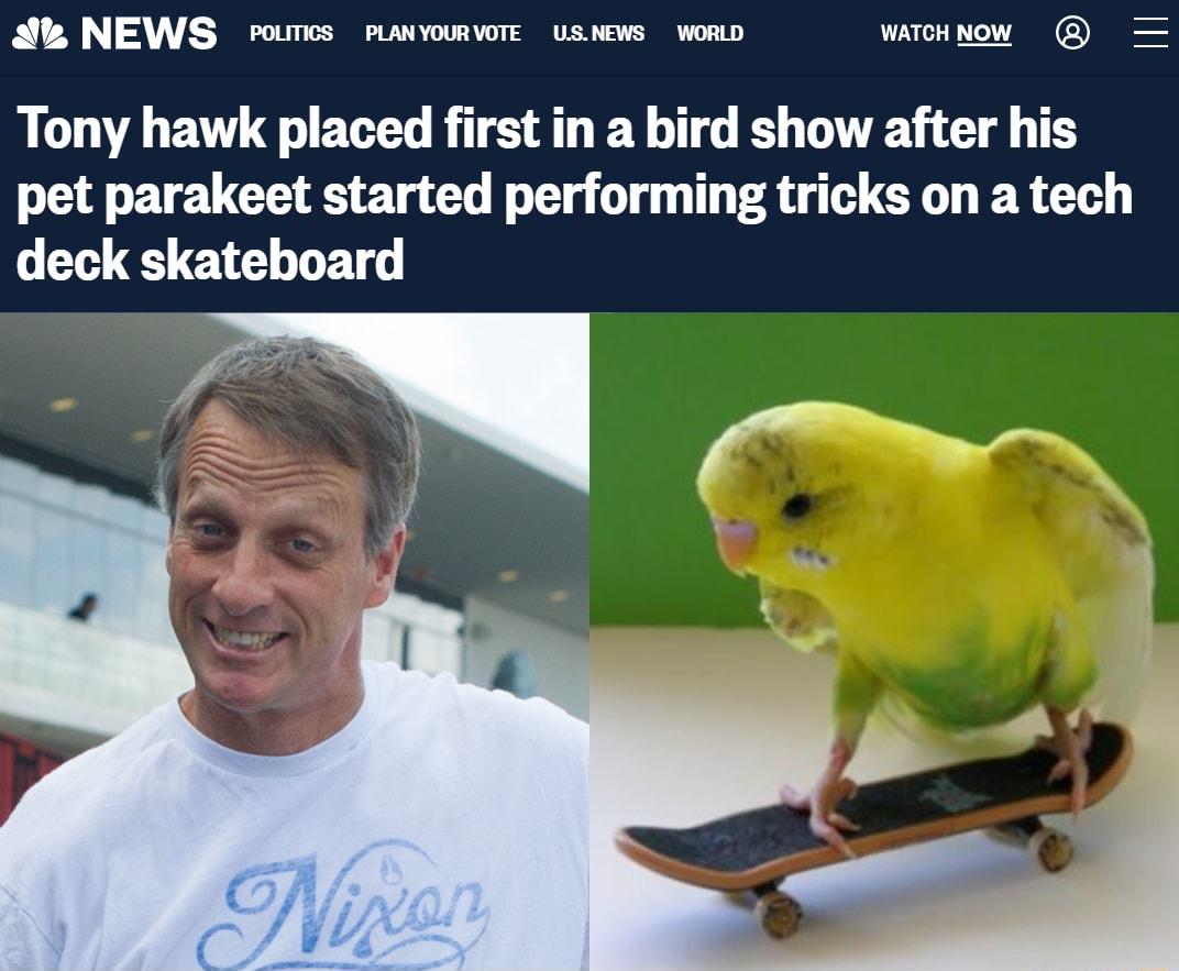 A NEWS roumos raomvore usiews won warcnnow Tony hawk placed first in a bird show after his pet parakeet started performing tricks on a tech deck skateboard