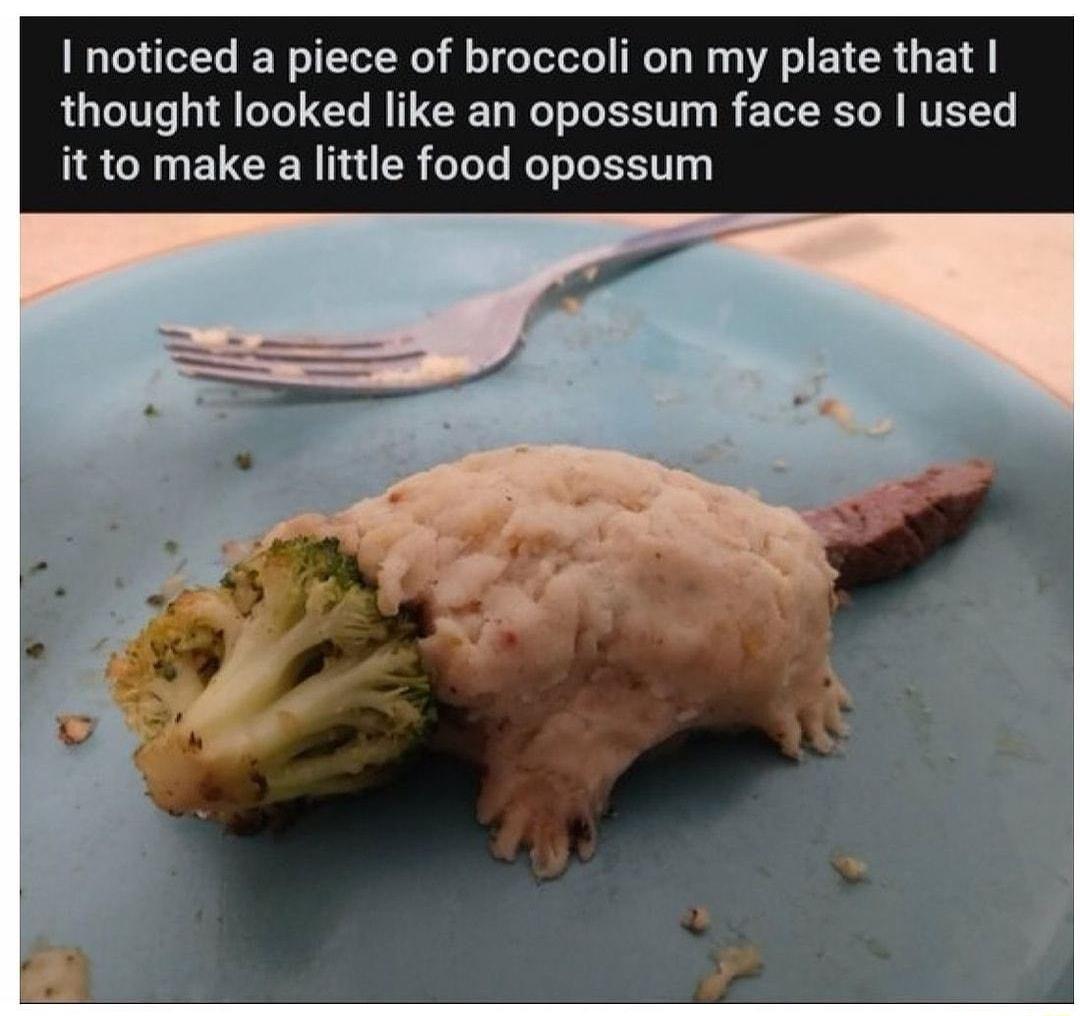I noticed a piece of broccoli on my plate that thought looked like an opossum face so used it to make a little food opossum