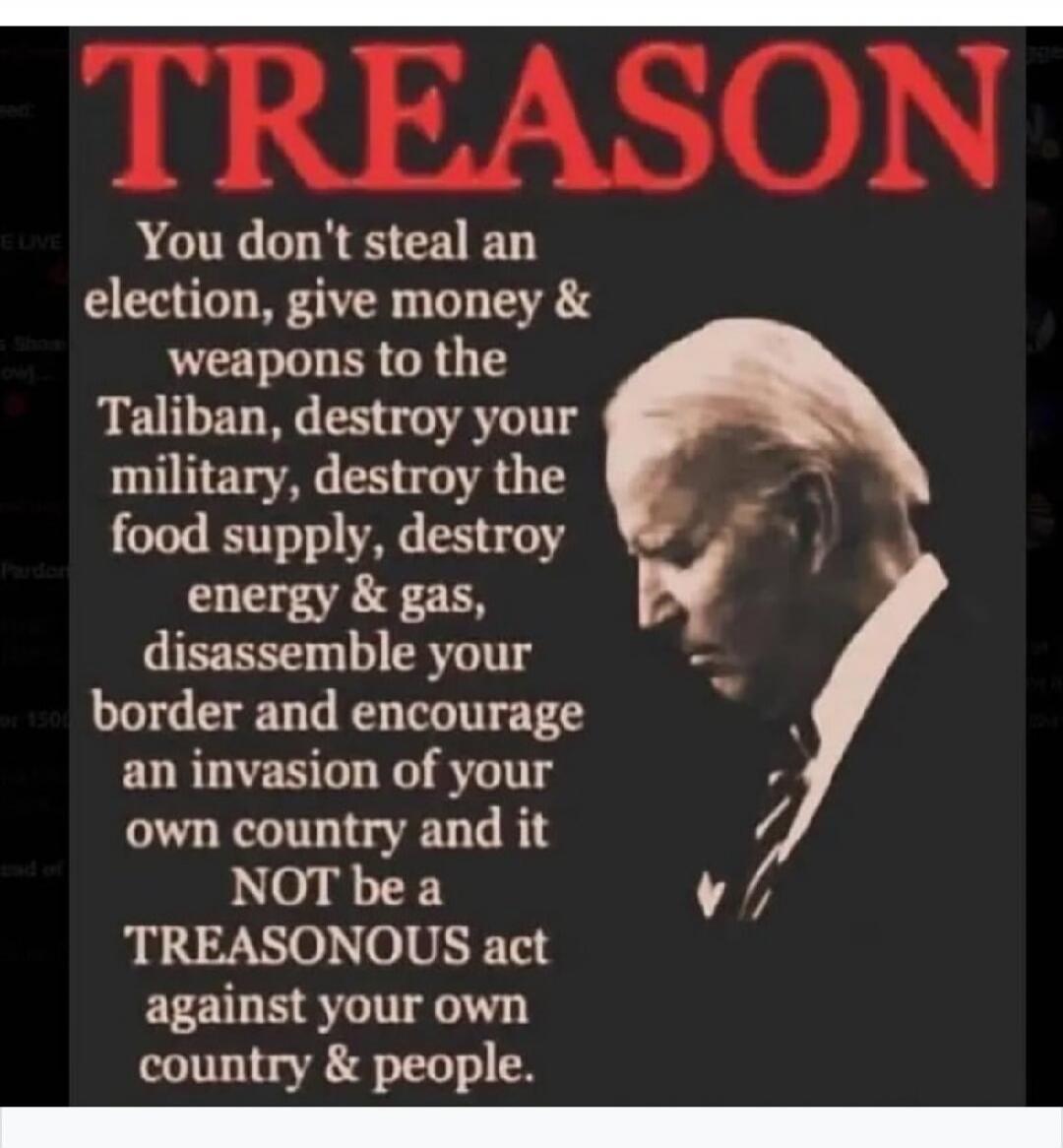 TREASON. You don't steal an election, give money & weapons to the Taliban, destroy your military, destroy the food supply, destroy energy & gas, disassemble your border and encourage an invasion of your own country and it NOT be a TREASONOUS act against your own country & people.