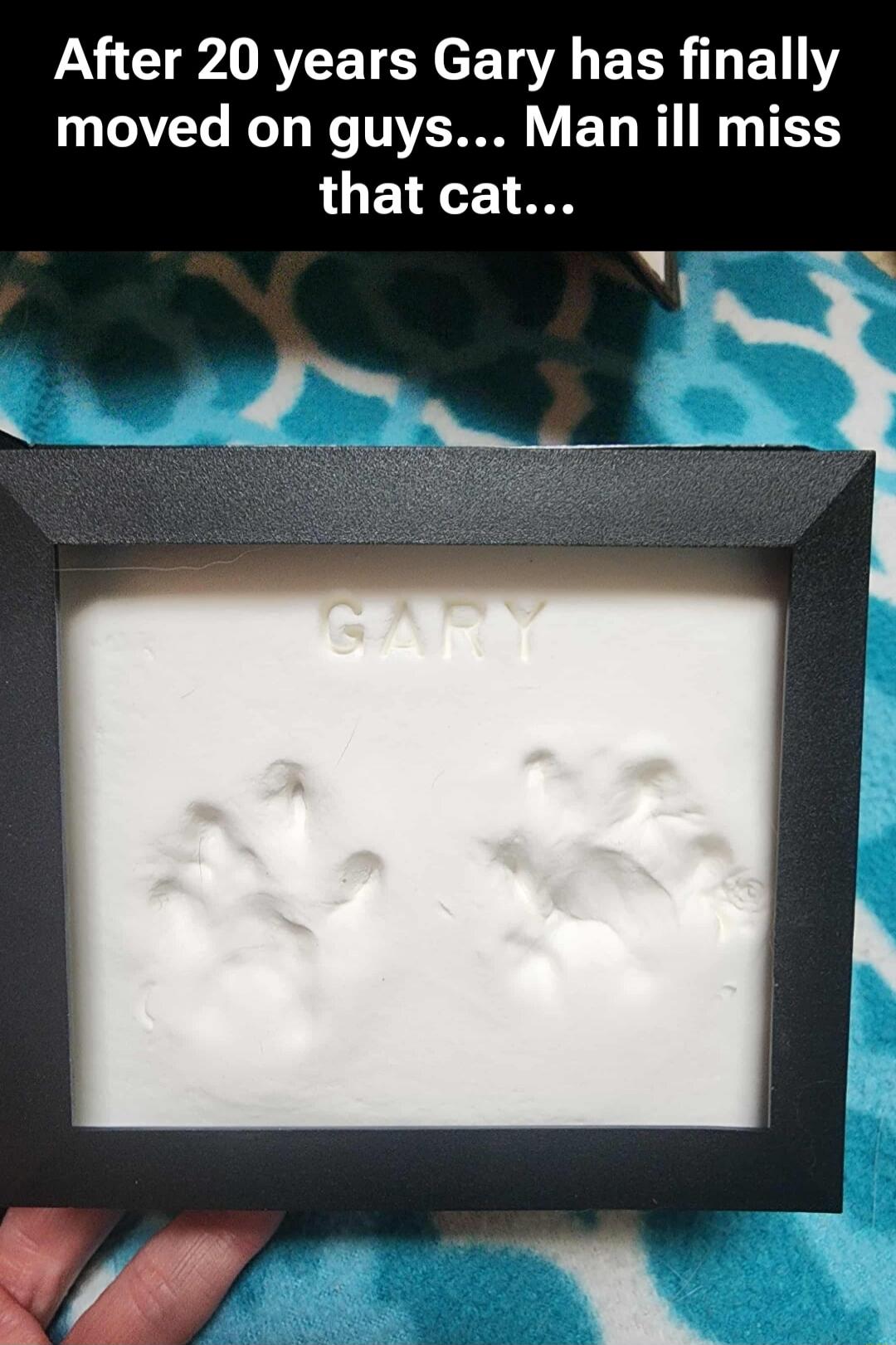 After 20 years Gary has finally moved on guys... Man ill miss that cat...