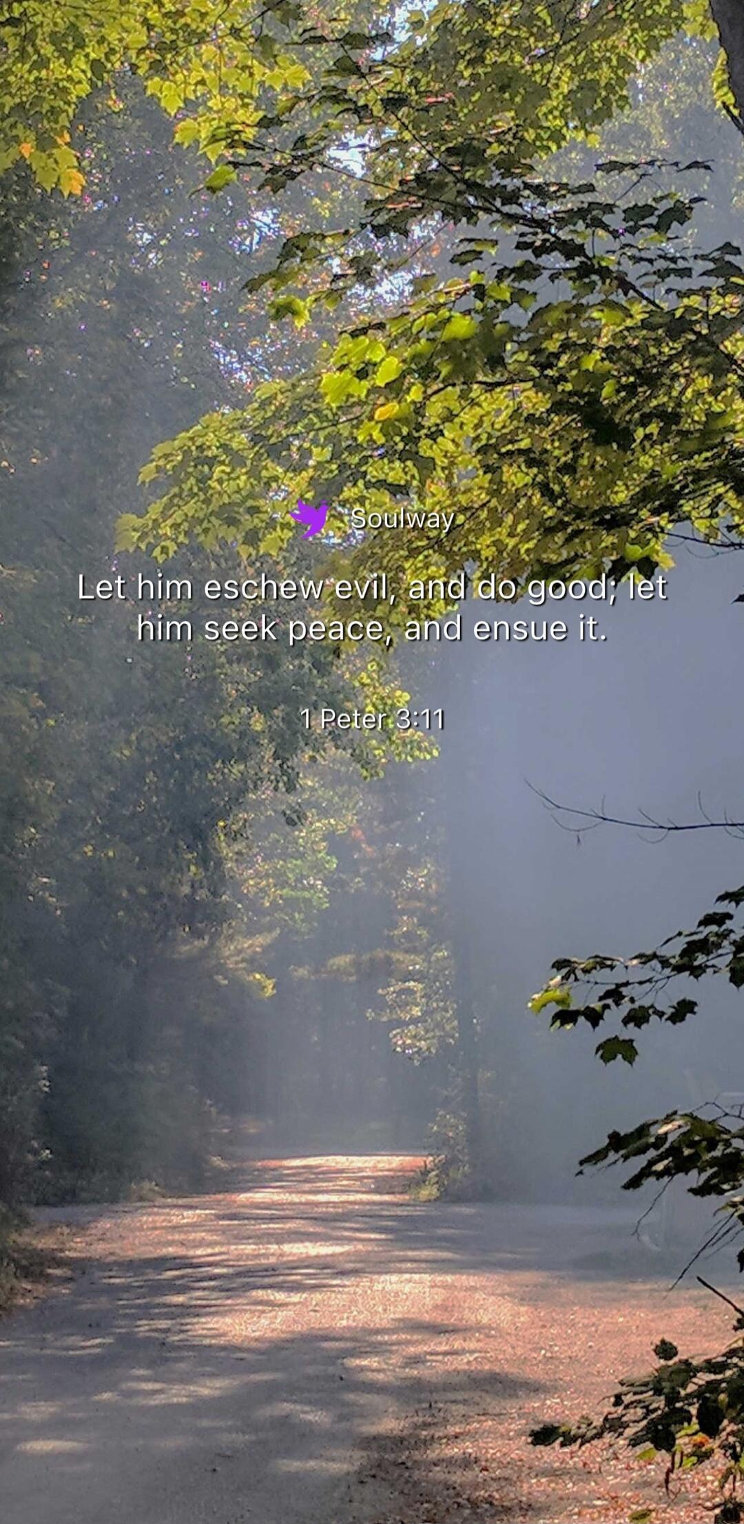 Soulway Let him eschew evil, and do good; let him seek peace, and ensue it. 1 Peter 3:11