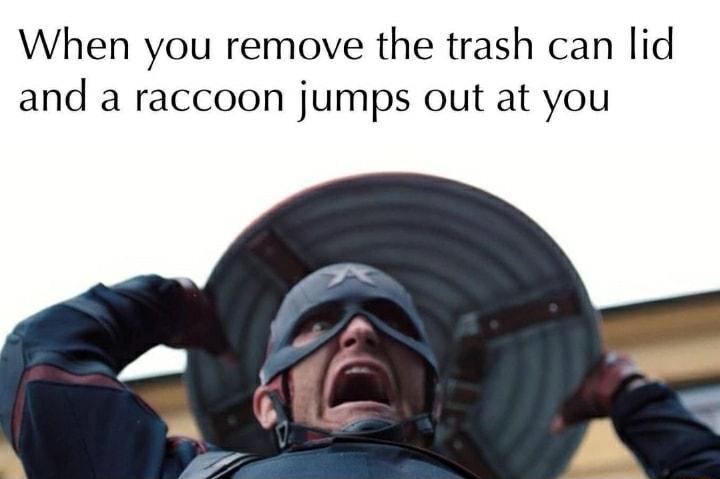 When you remove the trash can lid and a raccoon jumps out at you