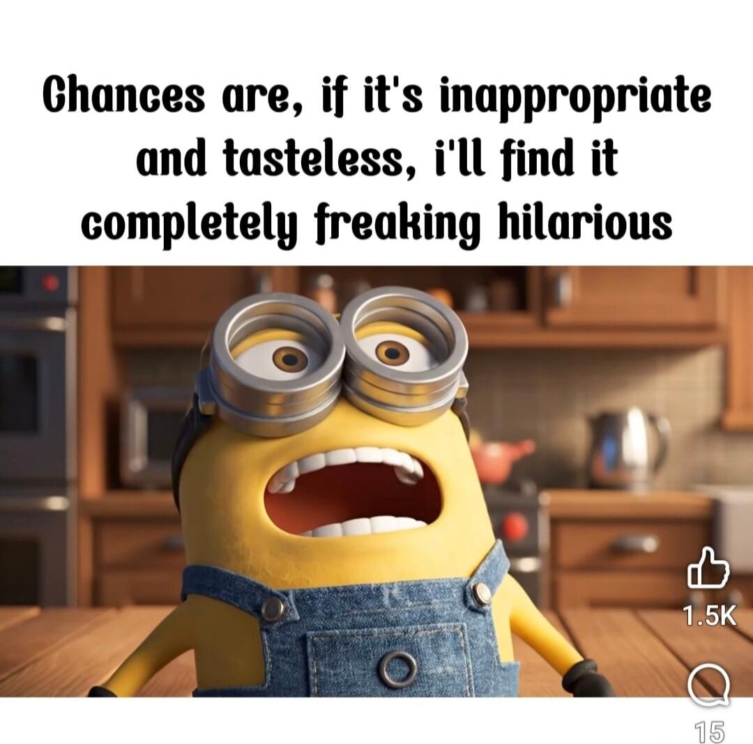 Chances are, if it's inappropriate and tasteless, i'll find it completely freaking hilarious