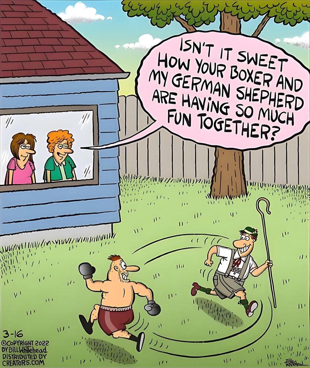 Sy