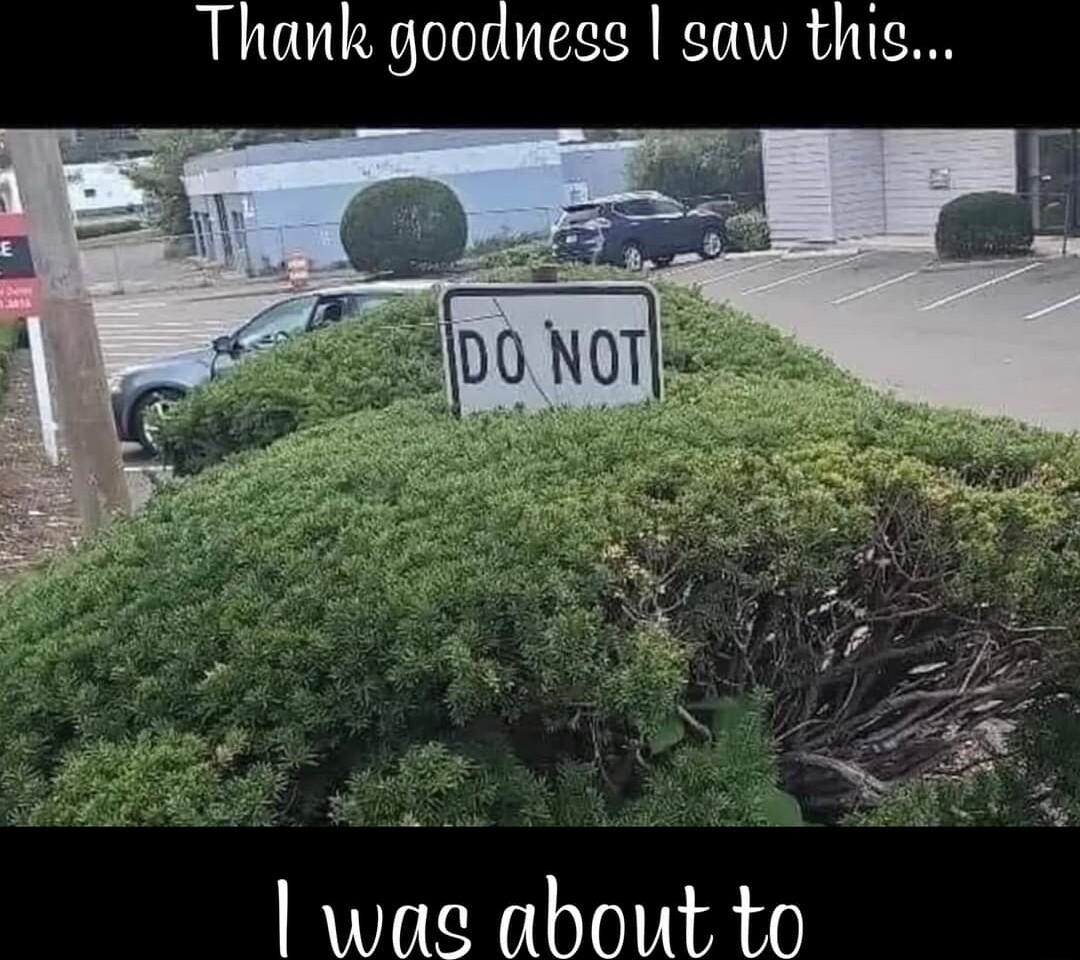 Thank goodness saw thig wae about to