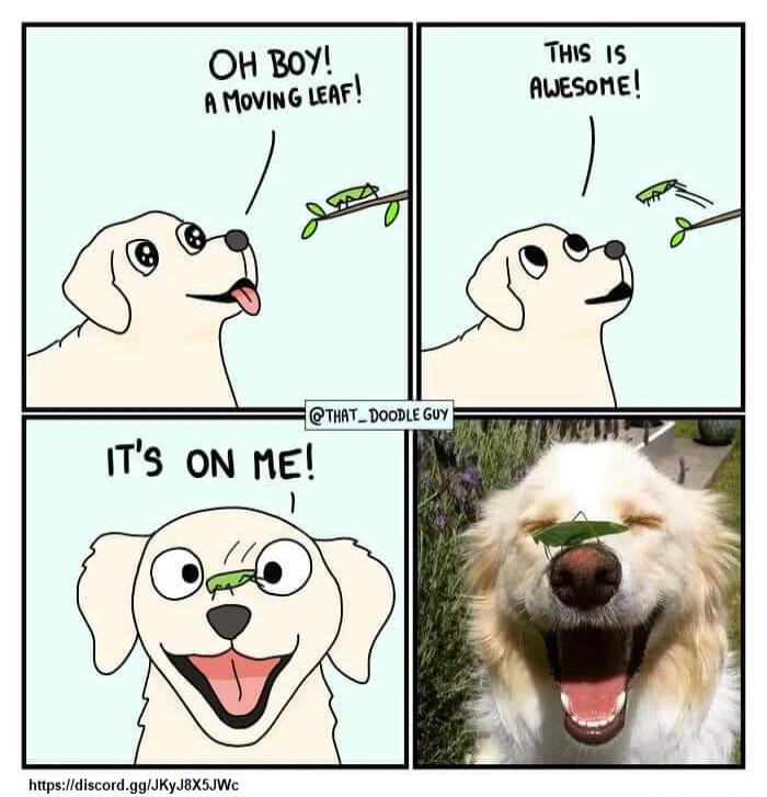 epcidincond giKy XSWe