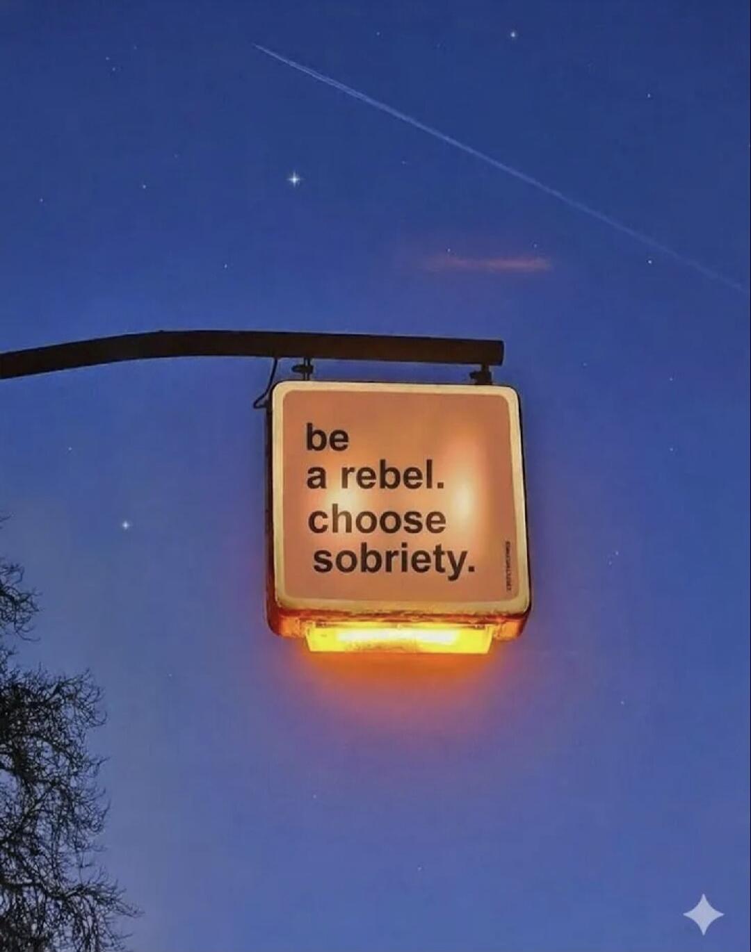 be a rebel. choose sobriety.