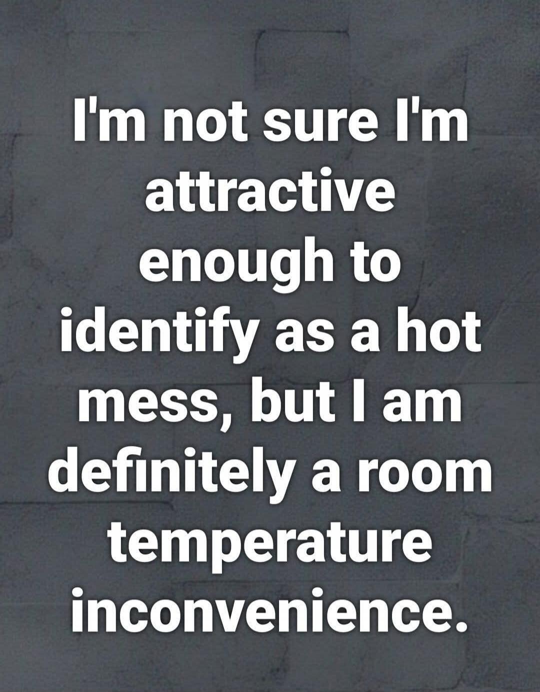 I'm not sure I'm attractive enough to identify as a hot mess, but I am definitely a room temperature inconvenience.