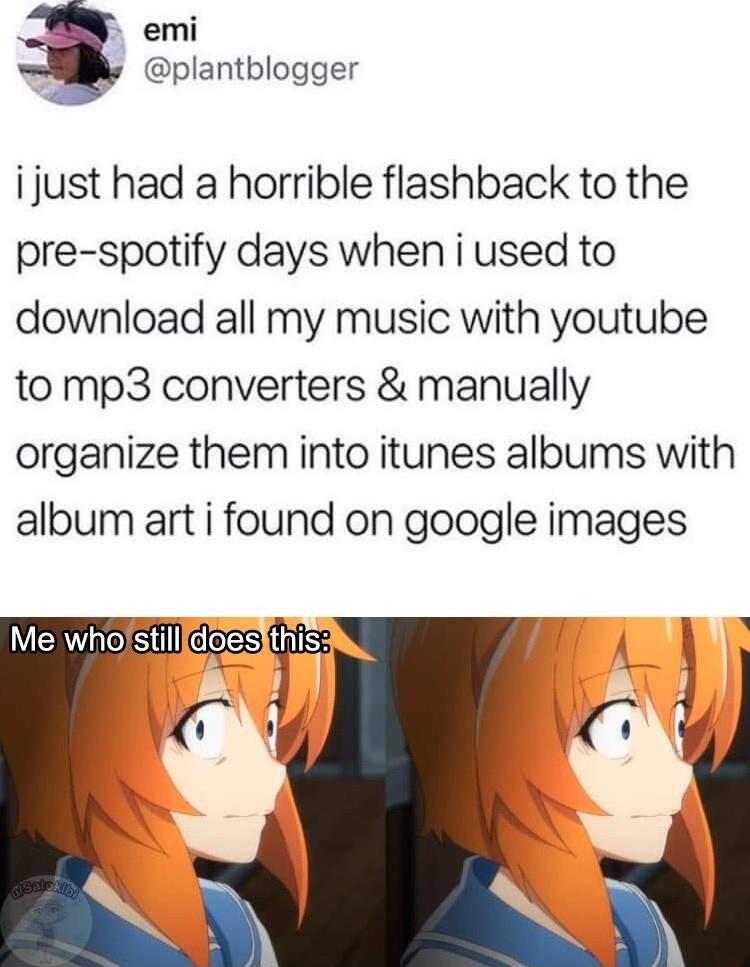 emi plantblogger i just had a horrible flashback to the pre spotify days when i used to download all my music with youtube to mp3 converters manually organize them into itunes albums with album art i found on google images