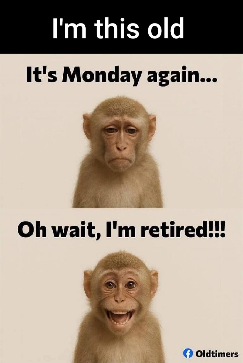 I'm this old
It's Monday again...
Oh wait, I'm retired!!!