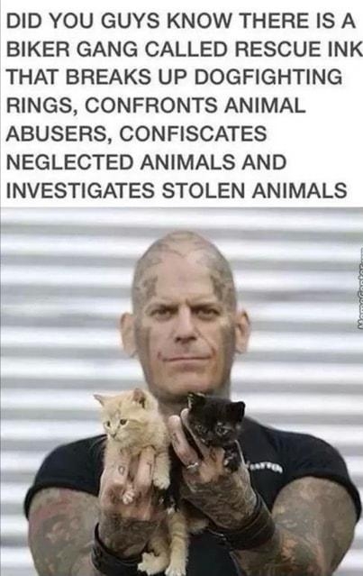 DID YOU GUYS KNOW THERE IS A BIKER GANG CALLED RESCUE INK THAT BREAKS UP DOGFIGHTING RINGS CONFRONTS ANIMAL ABUSERS CONFISCATES NEGLECTED ANIMALS AND INVESTIGATES STOLEN ANIMALS