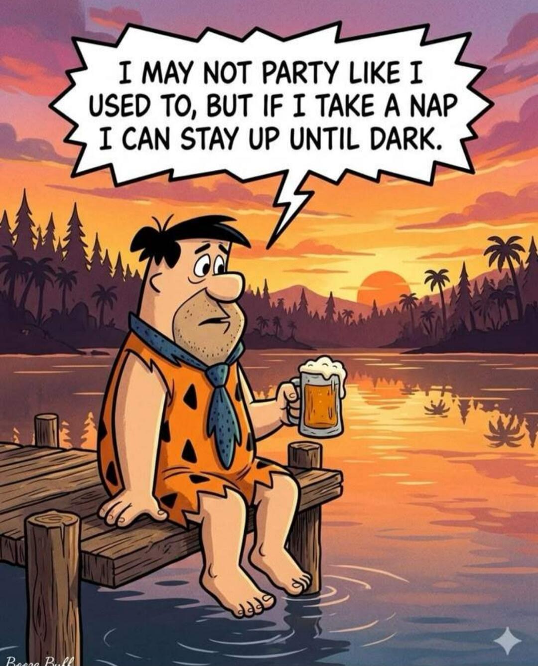 I MAY NOT PARTY LIKE I USED TO, BUT IF I TAKE A NAP I CAN STAY UP UNTIL DARK.