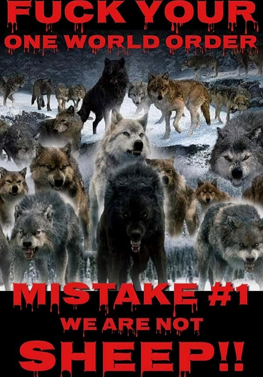 FUCK YOUR ONE WORLD ORDER MISTAKE #1 WE ARE NOT SHEEP!!