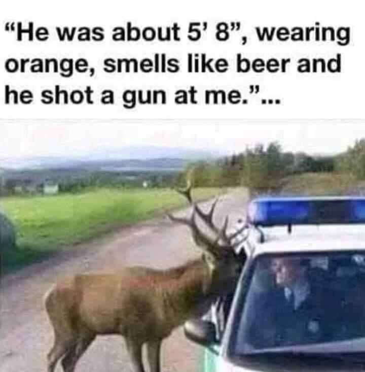 “He was about 5’ 8”, wearing orange, smells like beer and he shot a gun at me.”...
