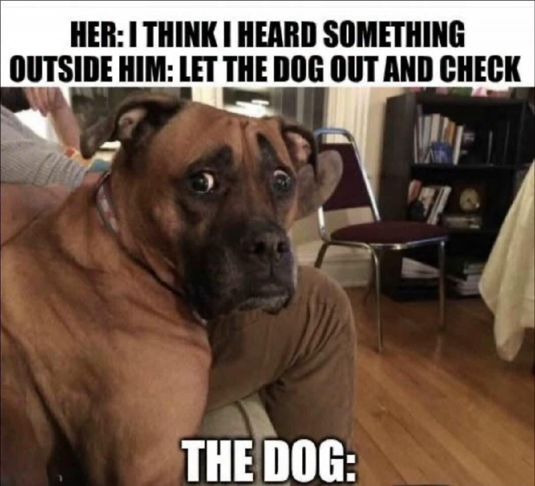 HER: I THINK I HEARD SOMETHING OUTSIDE HIM: LET THE DOG OUT AND CHECK THE DOG: