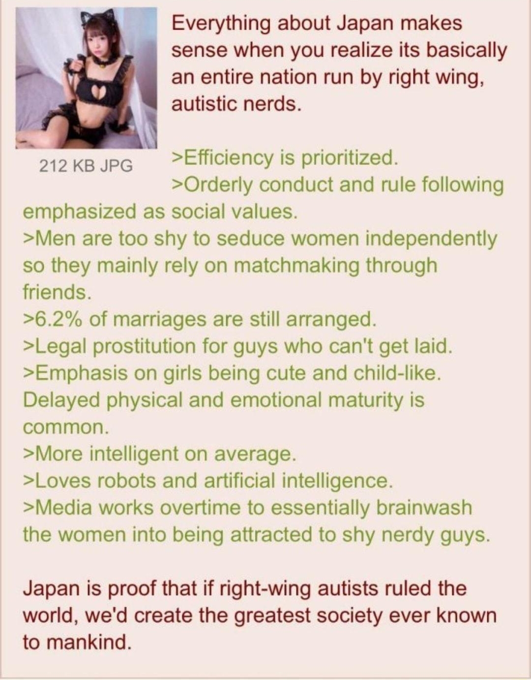 Everything about Japan makes sense when you realize its basically an entire nation run by right wing autistic nerds 212kBJpg Efficiency is prioritized Orderly conduct and rule following emphasized as social values Men are too shy to seduce women independently so they mainly rely on matchmaking through friends 62 of marriages are still arranged Legal prostitution for guys who cant get laid Emphasis