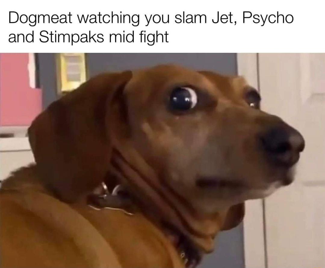 Dogmeat watching you slam Jet Psycho and Stimpaks mid fi