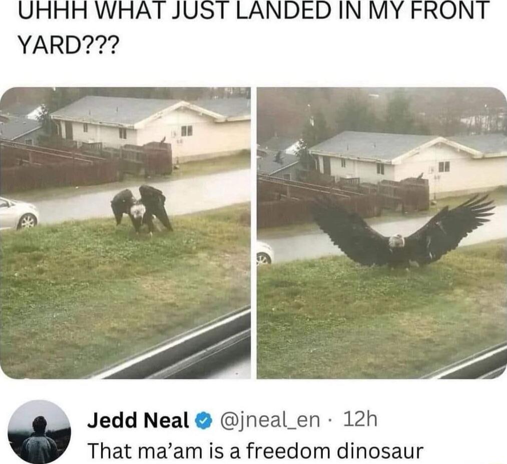 Jedd Neal jneal_en 12h That maam is a freedom dinosaur