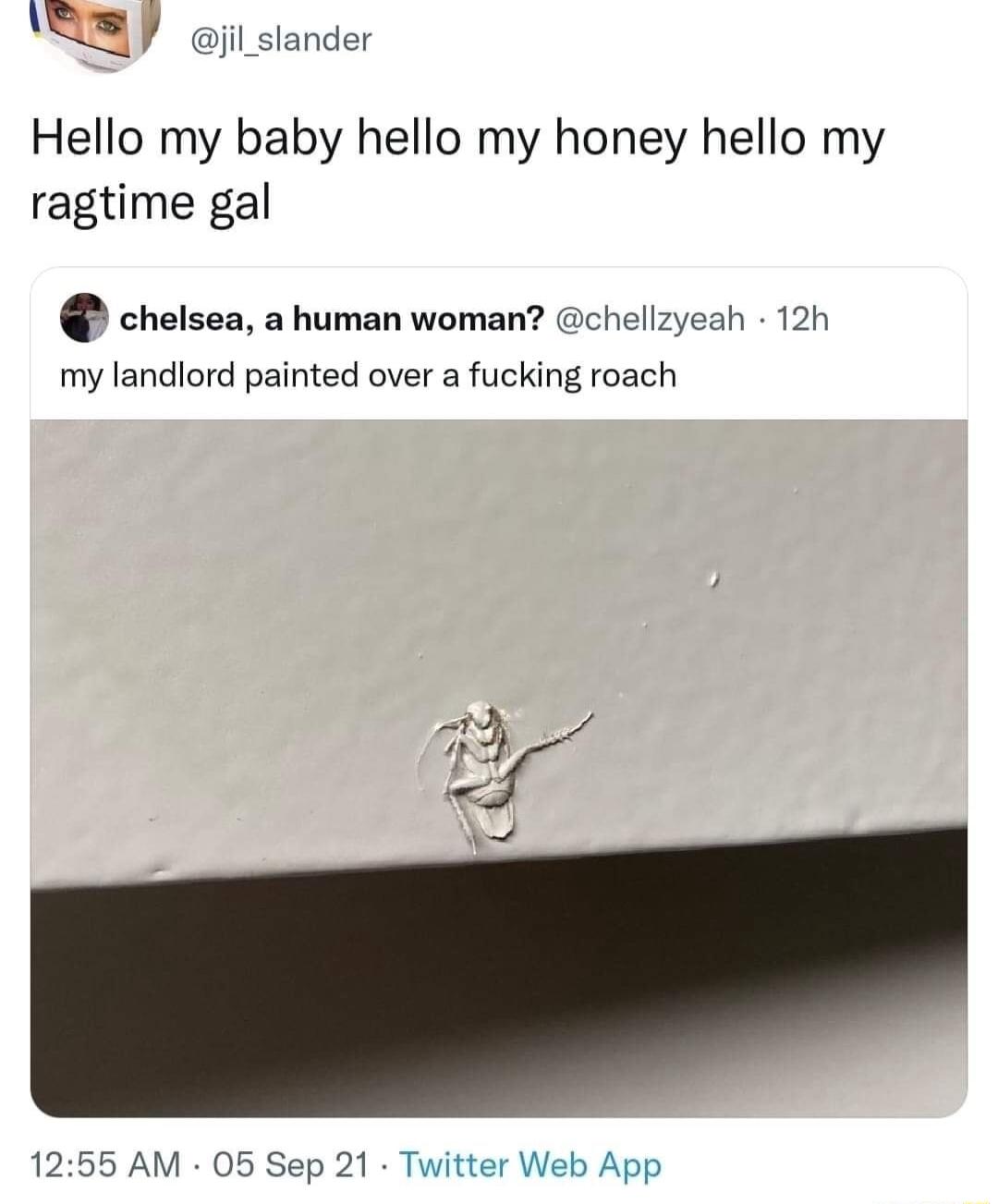 jil_slander Hello my baby hello my honey hello my ragtime gal chelsea a human woman chellzyeah 12h my landlord painted over a fucking roach 1255 AM 05 Sep 21 Twitter Web App