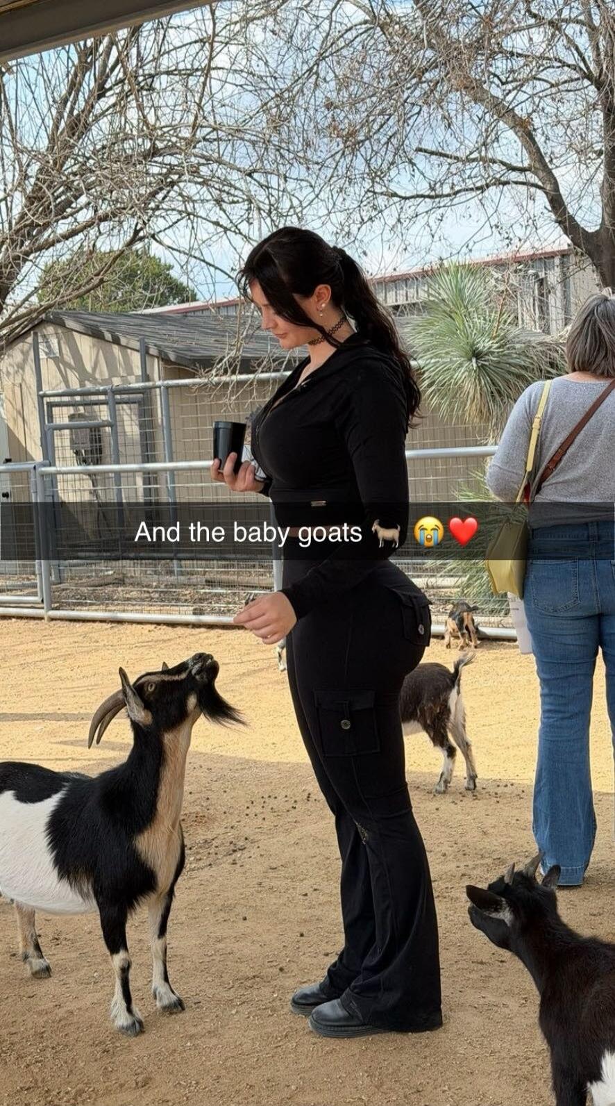 And the baby goats 🐐😭❤️