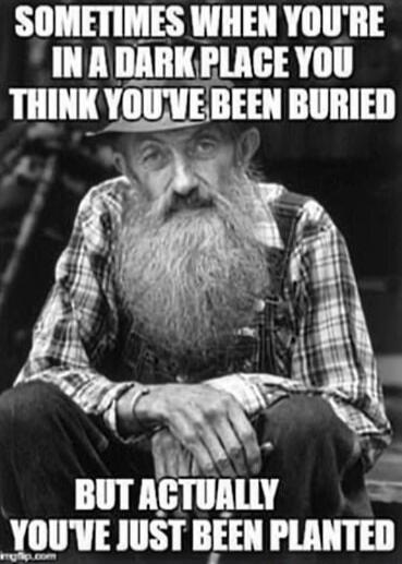 Sometimes when you're in a dark place you think you've been buried but actually you've just been planted