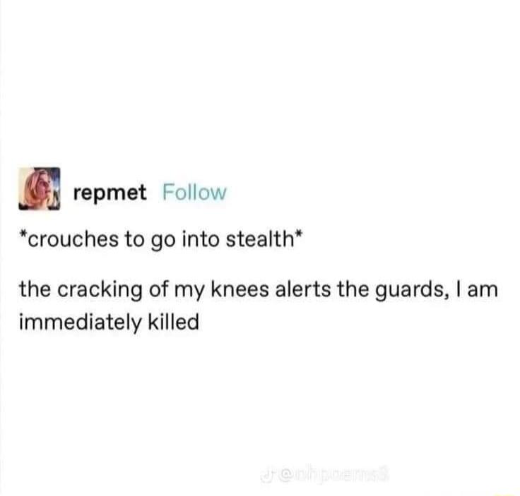 repmet Follow crouches to go into stealth the cracking of my knees alerts the guards am immediately killed