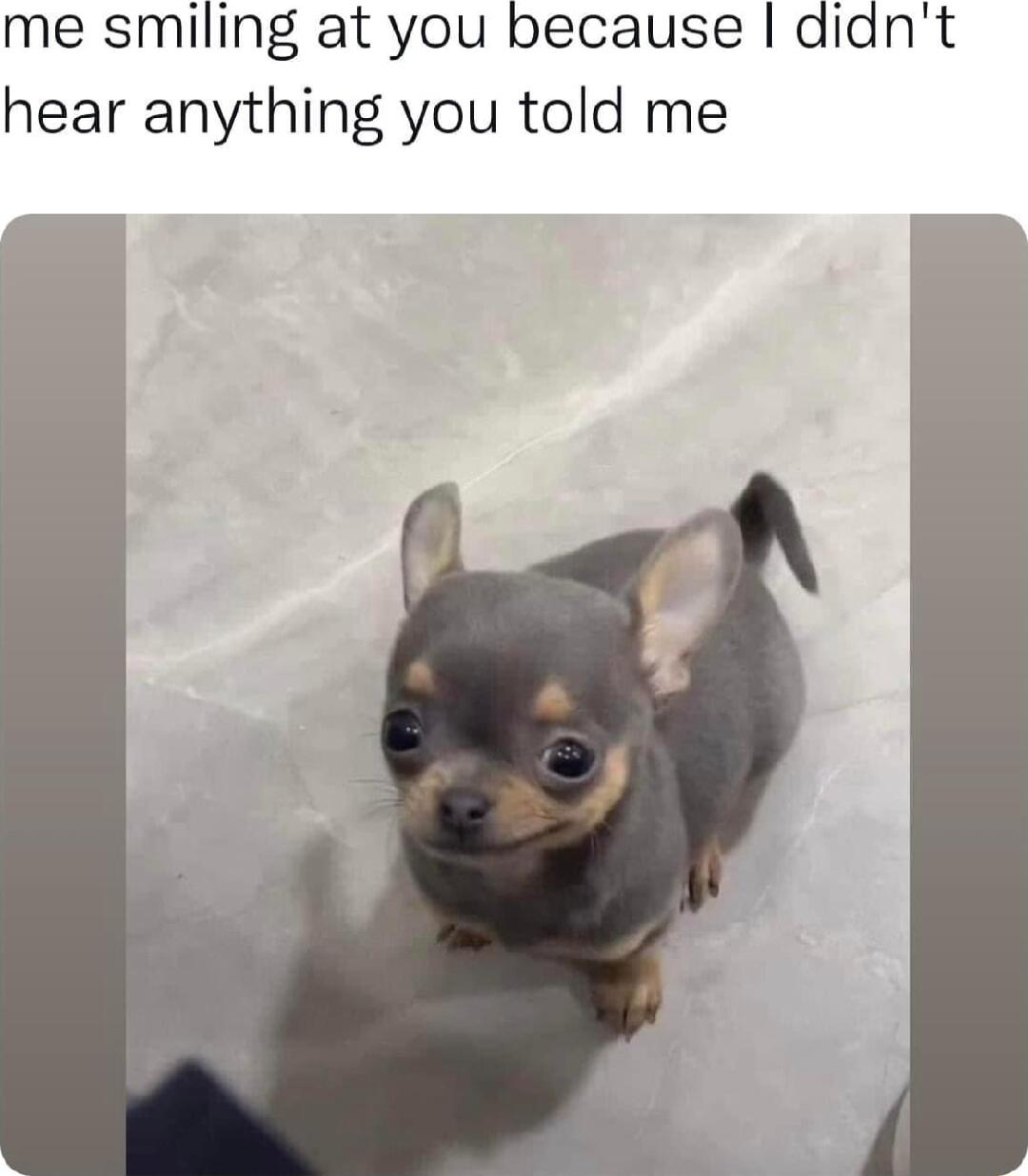 me smiling at you because diant hear anything you told me